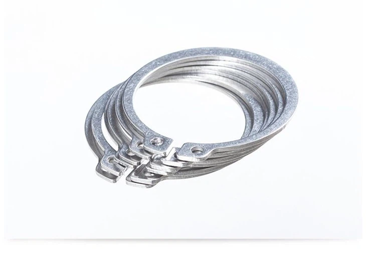 titanium retaining ring